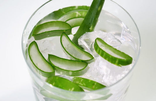 3 cócteles con aloe vera para sobrevivir al verano - Aloe Vera Las Coronas