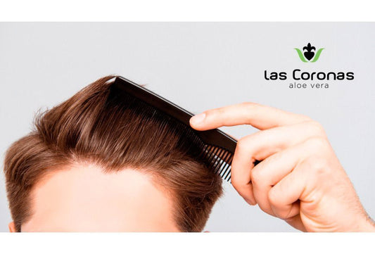Aloe Vera para Alopecia: Beneficios, Usos y Cómo Fortalecer el Cabello de Forma Natural - Aloe Vera Las Coronas