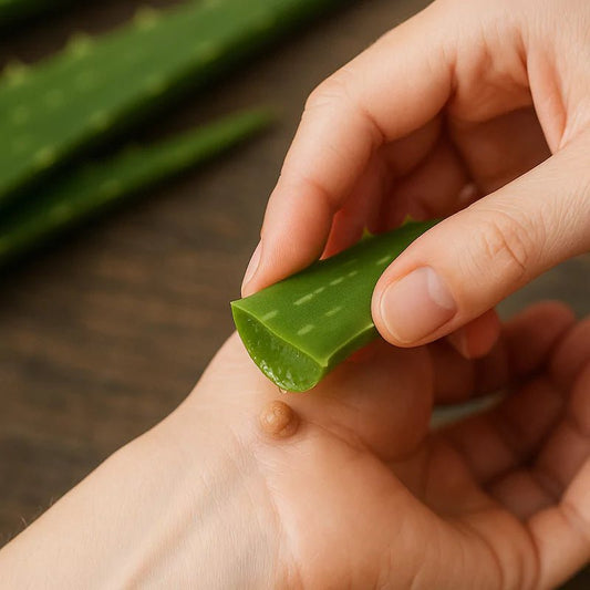 Aloe Vera para verrugas: Elimínalas desde casa - Aloe Vera Las Coronas