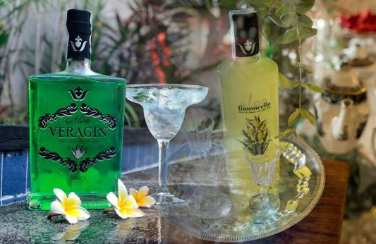 Ginebra de aloe vera Aloe VeraGin y Aloe Limoncello: Un regalo para tus sentidos de mano de la mejor materia prima - Aloe Vera Las Coronas