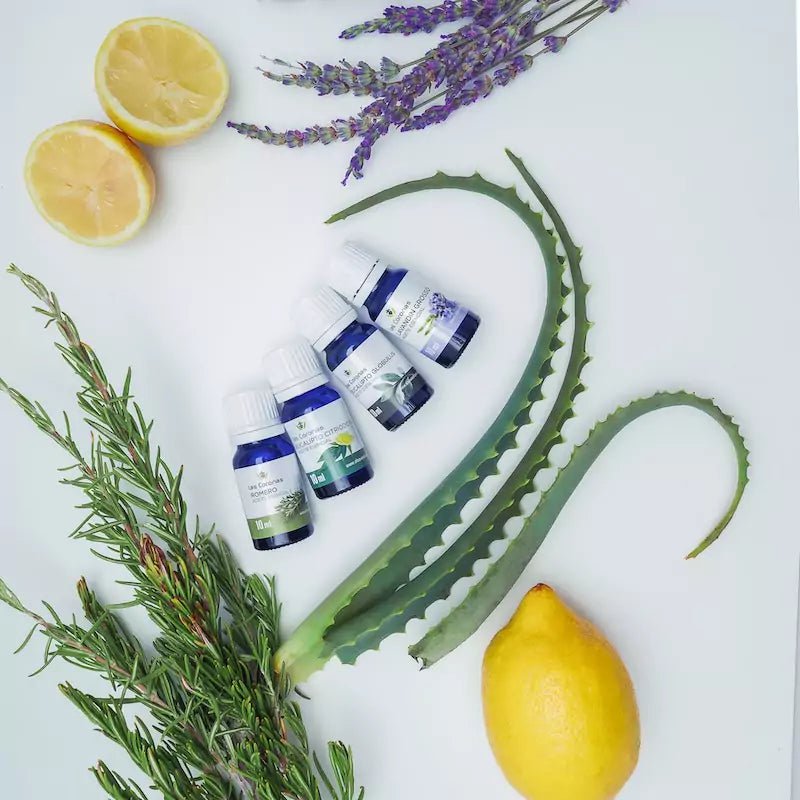 Aceite esencial puro BIO de Eucalipto Globulus - Aloe Vera Las Coronas