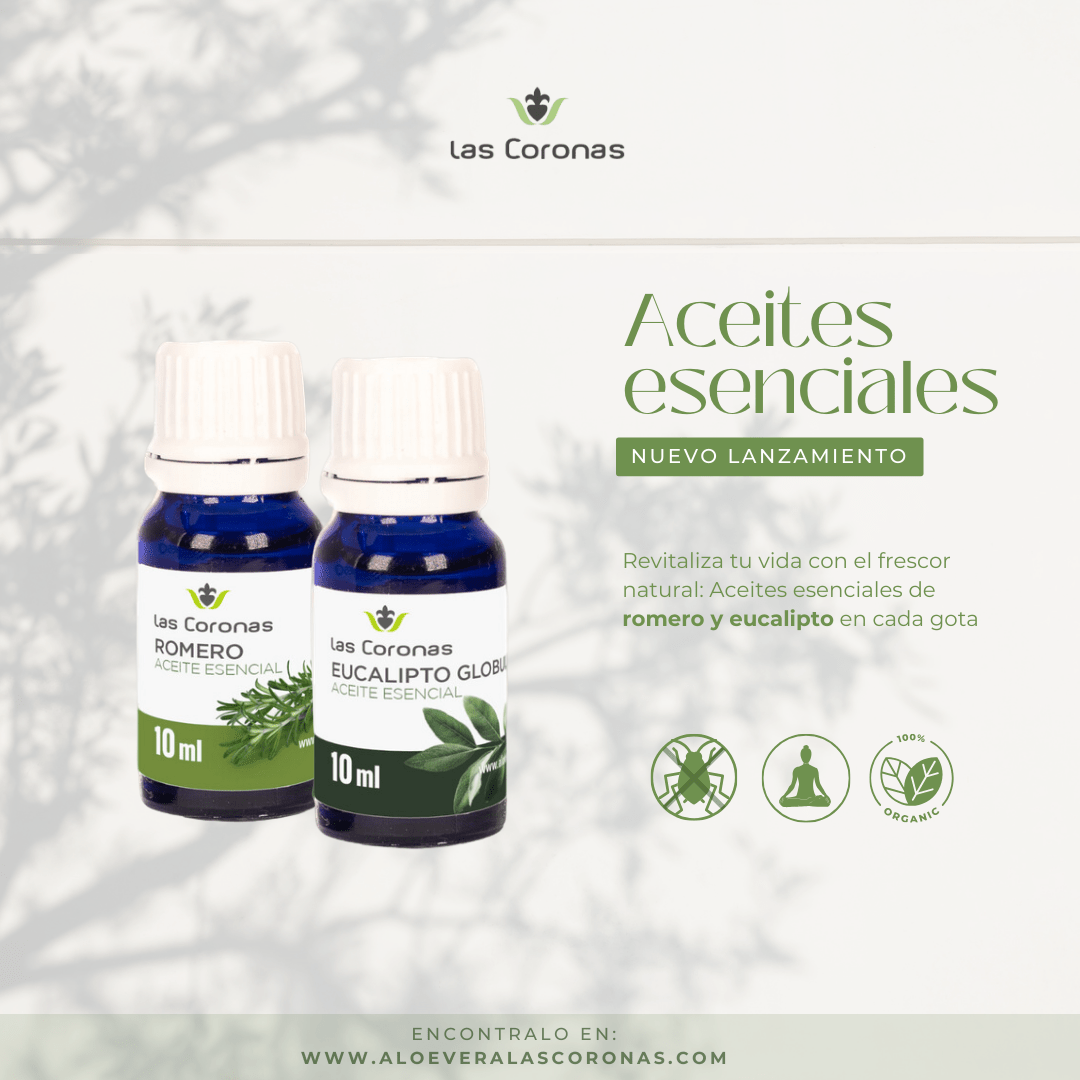 Aceite esencial puro BIO de Romero - Aloe Vera Las Coronas
