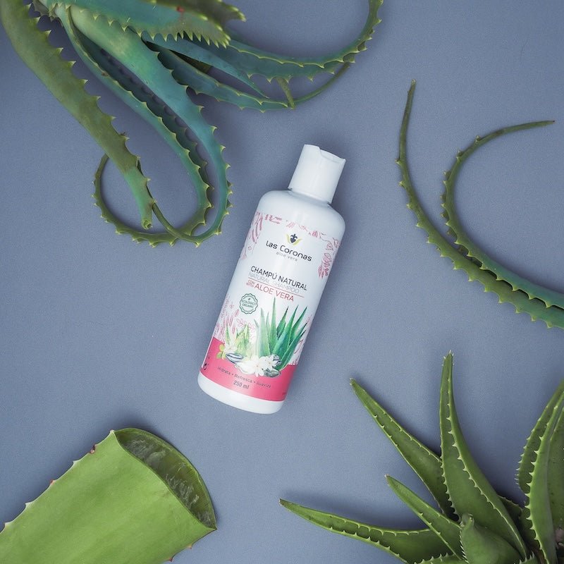 Champú Aloe Vera Ecológico 250ml - Aloe Vera Las Coronas