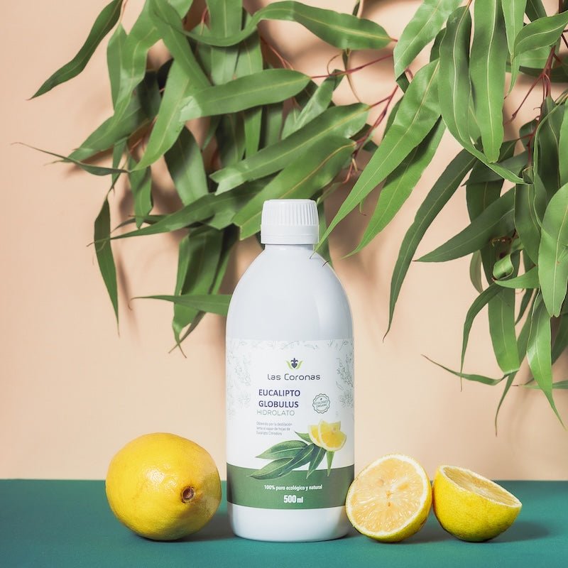 Hidrolato de Eucalipto Citriodora 500ml - Aloe Vera Las Coronas