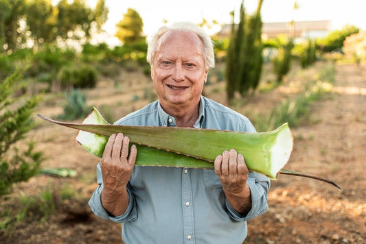 Año nuevo, hábitos nuevos con Aloe Vera - Aloe Vera Las Coronas