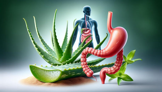 Beneficios del Aloe Vera para el Estómago: Alivio Natural y Efectivo - Aloe Vera Las Coronas