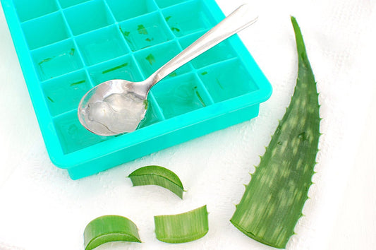 ¿Cómo congelar el aloe vera? - Aloe Vera Las Coronas