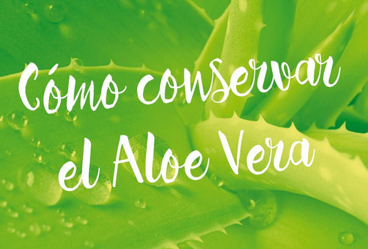 Cómo conservar las hojas de aloe vera - Aloe Vera Las Coronas