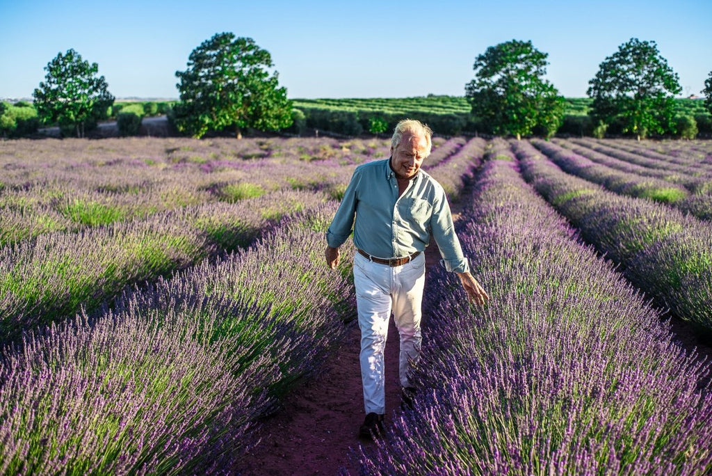 Experiencia Lavanda 2022: el poder terapéutico de la naturaleza