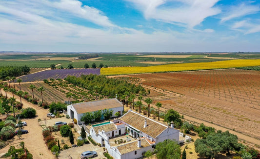 Finca Las Coronas: el paraíso de la biodiversidad y la agricultura innovadora - Aloe Vera Las Coronas