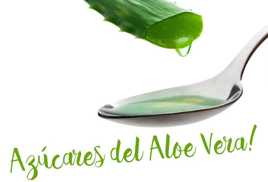 Los azúcares del Aloe Vera - Aloe Vera Las Coronas