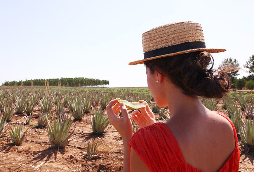 Mascarilla facial antisequedad con aloe vera