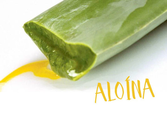 La Aloína del Aloe Vera - Aloe Vera Las Coronas