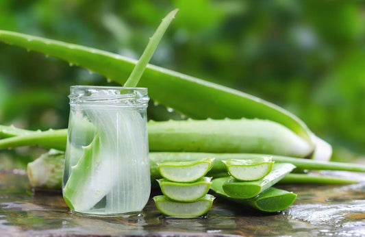 Salud Aloe Vera y experiencias en primera persona: Purificación Villanueva - Aloe Vera Las Coronas