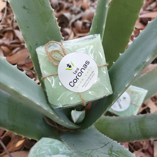 Jabón artesanal de aloe vera