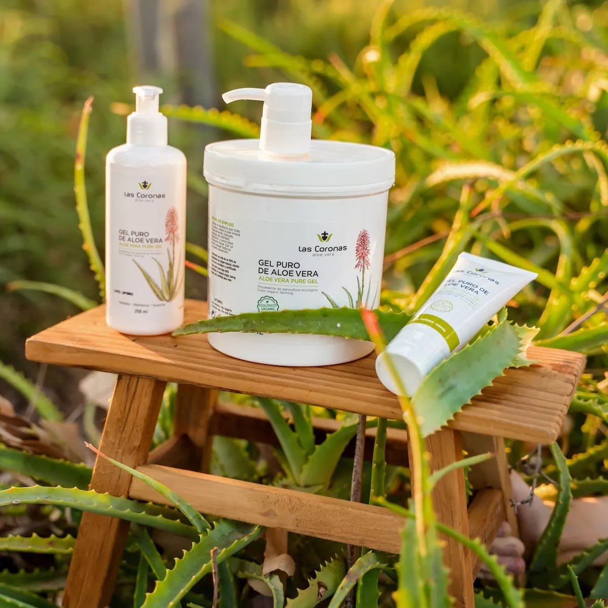 Gel Aloe Vera Puro - Aloe Vera Las Coronas