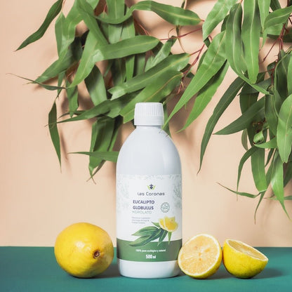 Hidrolato de Eucalipto Citriodora 500ml - Aloe Vera Las Coronas