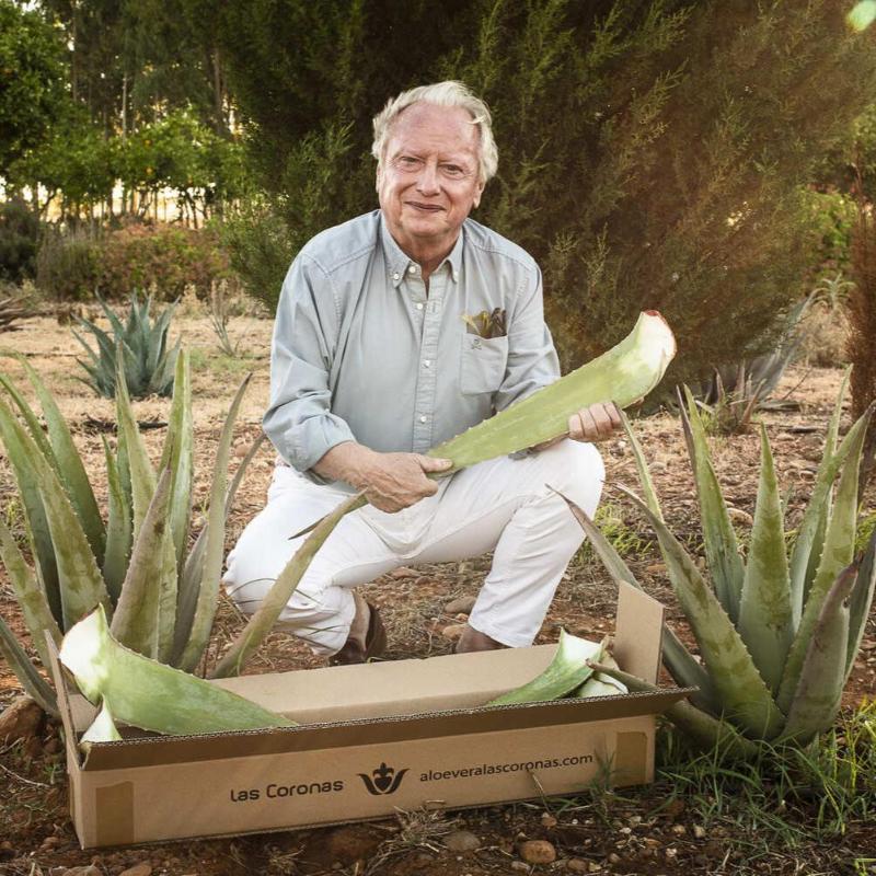 Hojas de Aloe Vera Ecológico - Aloe Vera Las Coronas