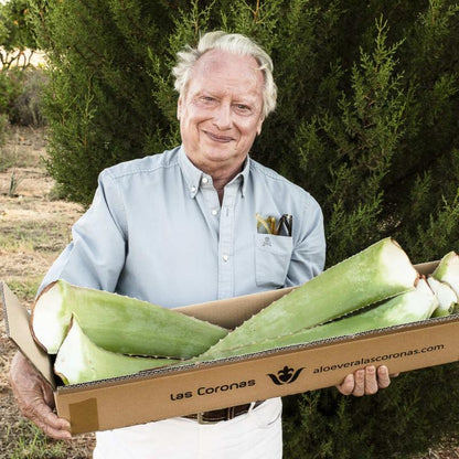 Hojas de Aloe Vera Ecológico - Aloe Vera Las Coronas