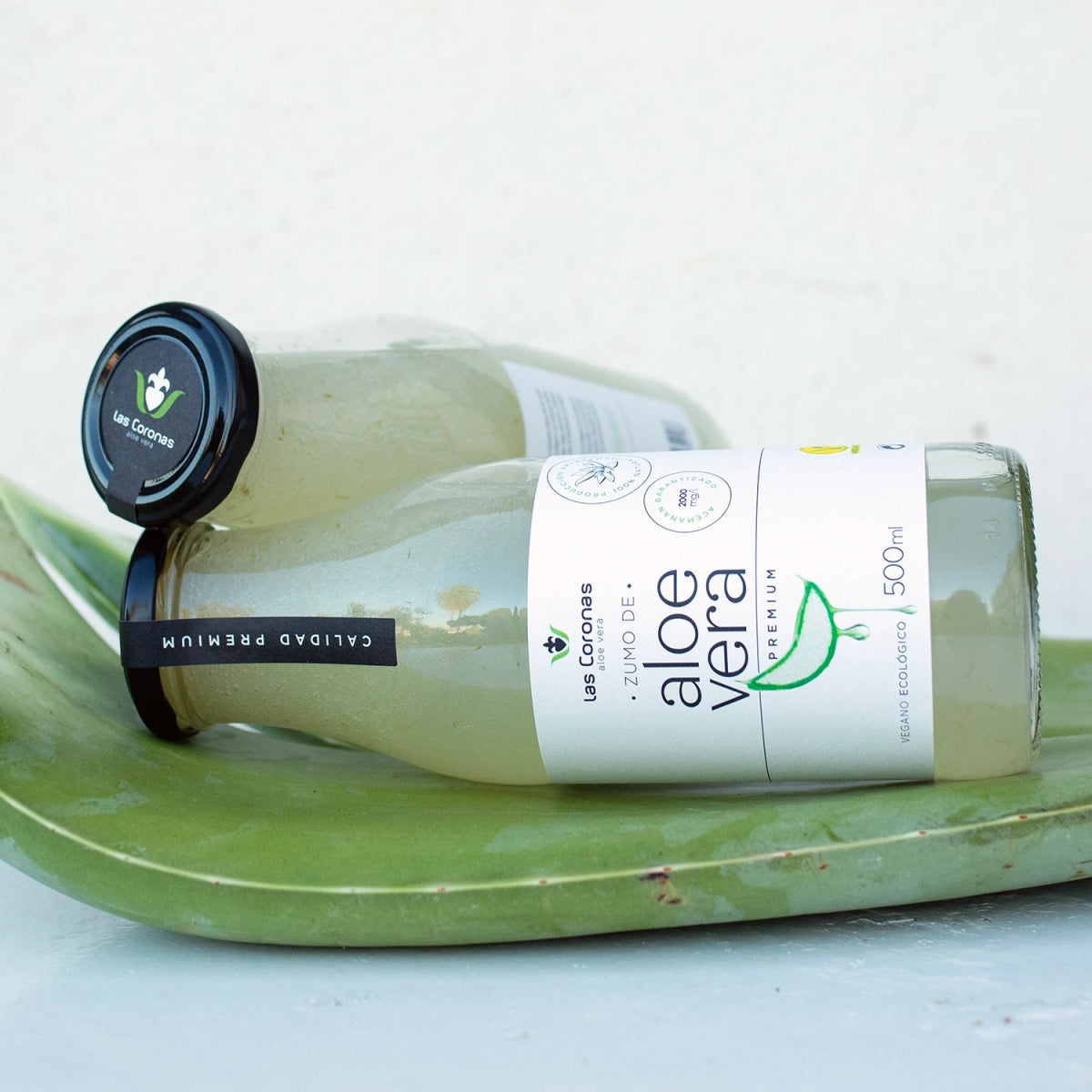 PACK x3 Zumo de Aloe Vera Ecológico PREMIUM con pulpa Artesanal - Aloe Vera Las Coronas